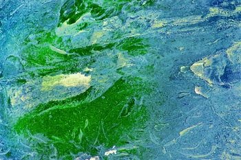 AP 138A1
